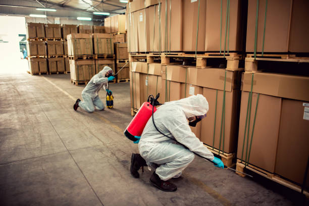 Reliable Middleton, WI Pest Control Solutions