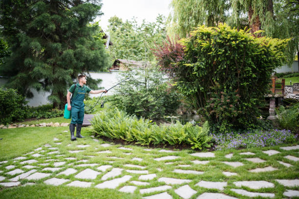 Best Pest Control Near Me  in Middleton, WI