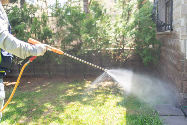 Best Emergency Pest Control  in Middleton, WI