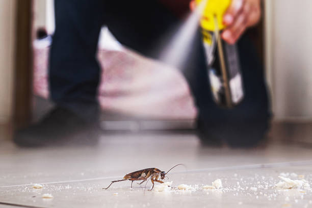 Best Pest Prevention Services  in Middleton, WI