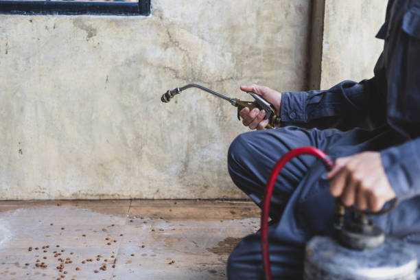 Best Termite Control Services  in Middleton, WI