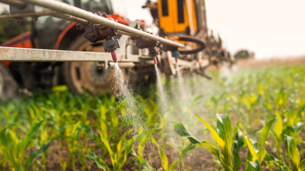 Best Pest Control for Businesses  in Middleton, WI